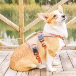 Escape-Proof No Pull Dog Harness – Medium Orange