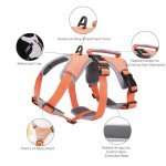 Escape-Proof No Pull Dog Harness – Medium Orange