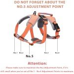 Escape-Proof No Pull Dog Harness – Medium Orange
