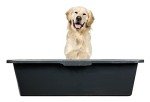 Dog Bathing Stand with 90L Wash Table