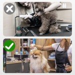 Portable Dog Grooming Tool and Accessory Organizer