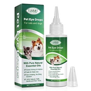 Natural Antibacterial Eye Drops for Dogs and Cats