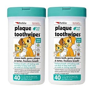 Petkin Dental Wipes for Dogs & Cats - 80 Count