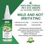 Natural Antibacterial Eye Drops for Dogs and Cats