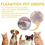 Natural Flea and Tick Prevention for Dogs