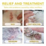 Natural Flea and Tick Prevention for Dogs
