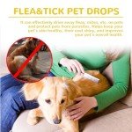 Natural Flea and Tick Prevention for Dogs