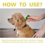 Natural Flea and Tick Prevention for Dogs