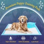 Large 100-Pack Super Absorbent Puppy Training Pads