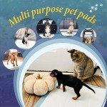 Large 100-Pack Super Absorbent Puppy Training Pads