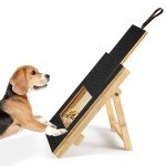 Wooden Dog Scratch Pad with Snack Box