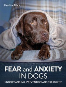 Understanding and Treating Fear and Anxiety in Dogs