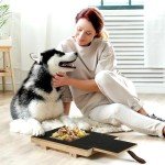 Wooden Dog Scratch Pad with Snack Box