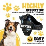 WOOF HOUND No Pull Adjustable Dog Harness