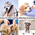 2-Pack Adjustable Dog Grooming Strap with D-Rings