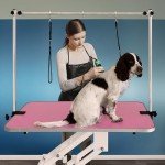 Pink Hydraulic Dog Grooming Table - Height Adjustable