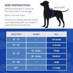 Paws Aboard Dog Life Jacket for Water Safety