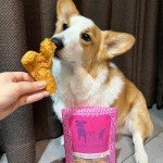 Freeze-Dried Chicken Strips for Dogs – 3 Pack