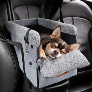 Small Dog Car Seat with Safety Straps & Pocket