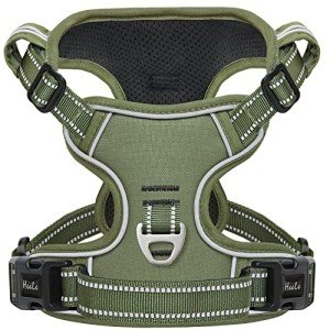 HEELE No-Pull Dog Harness with Handle - Green