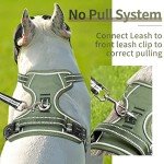 HEELE No-Pull Dog Harness with Handle - Green