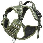 HEELE No-Pull Dog Harness with Handle - Green
