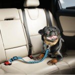 2-Pack Adjustable Dog Car Seat Belts (Blue)