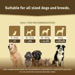 Ultimate Joint Supplements for All Dogs – Glucosamine & Omega 3