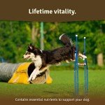 Ultimate Joint Supplements for All Dogs – Glucosamine & Omega 3