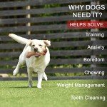 Indestructible Dog Chew Toys for Aggressive Chewers