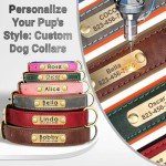 Personalized Soft Padded Leather Dog Collar - Green