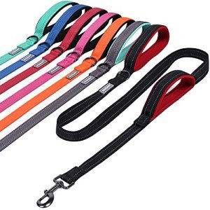 VIVAGLORY Reflective Dog Leash with Padded Handles