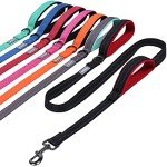 VIVAGLORY Reflective Dog Leash with Padded Handles