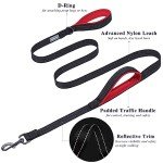 VIVAGLORY Reflective Dog Leash with Padded Handles