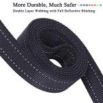 VIVAGLORY Reflective Dog Leash with Padded Handles