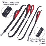 VIVAGLORY Reflective Dog Leash with Padded Handles
