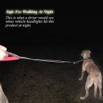 VIVAGLORY Reflective Dog Leash with Padded Handles