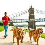 VIVAGLORY Reflective Dog Leash with Padded Handles