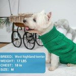 Mihachi Cable Knit Turtleneck Dog Sweater