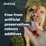 Natural Joint Supplement for Dogs with Omega-3s