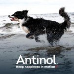 Natural Joint Supplement for Dogs with Omega-3s