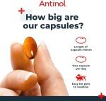 Natural Joint Supplement for Dogs with Omega-3s