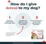 Natural Joint Supplement for Dogs with Omega-3s