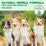 Liquid Wormer for Small to Large Dogs