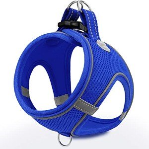 Joytale Soft Mesh Dog Harness - Navy Blue