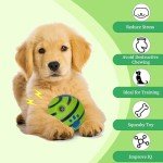 Interactive Giggle Ball Squeaky Toy for Dogs