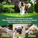 Interactive Giggle Ball Squeaky Toy for Dogs