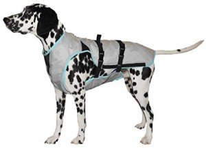 Cool Vest for Dogs - Machine Washable, Silver