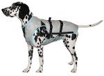 Cool Vest for Dogs - Machine Washable, Silver