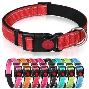 Adjustable Reflective Nylon Dog Collar with Safety Buckle